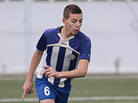 Damir Karić