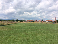 Junior Arena